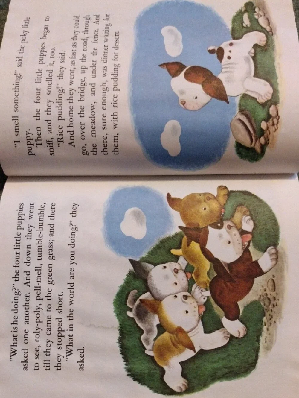 Little Golden Book little featuring